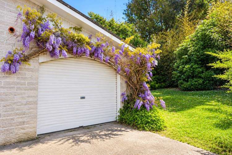 2/220 East Coast Road Forrest Hill_13