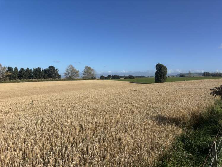 Lot 2 Adair Road Fairview_3