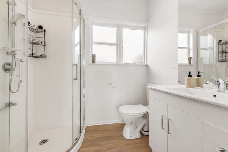 97 Awaroa Road Sunnyvale_9