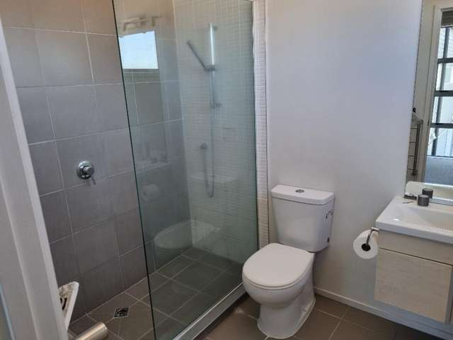 36B Lyon Street Frankton_4