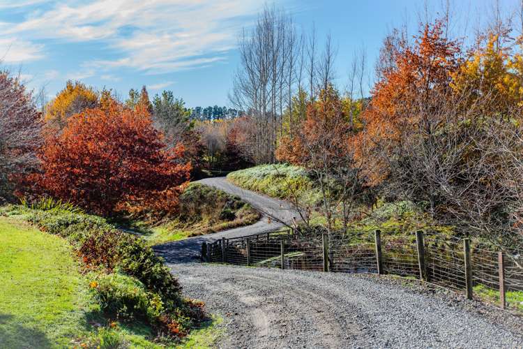 149 Parnassus Road Cheviot_11