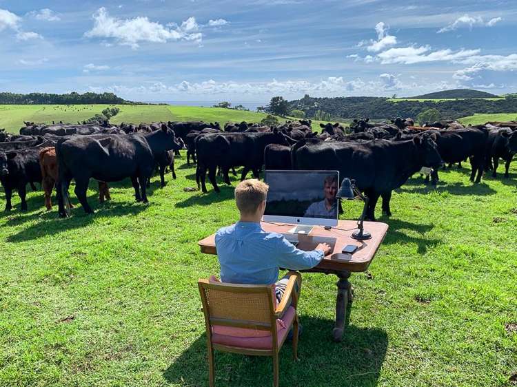 785d Purerua Road Kerikeri Surrounds_12