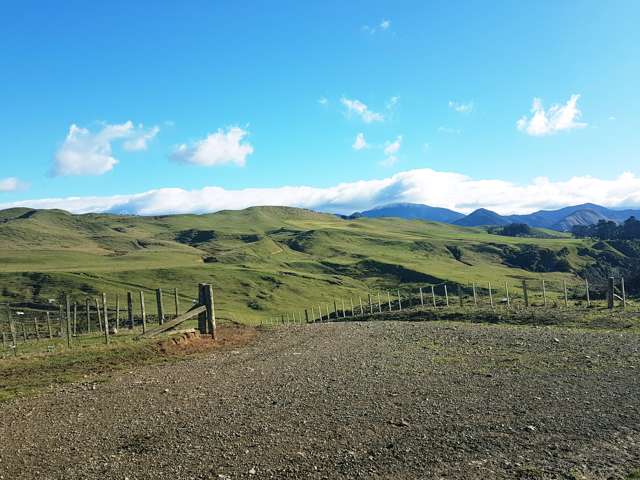 76064 State Highway 2 Rangitikei Surrounds_2