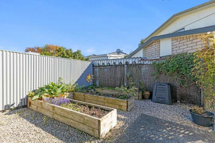 4A Cubitt Street Blenheim_17