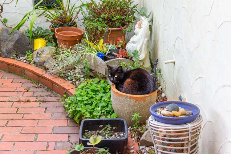 4 Cobham Place Solway_3