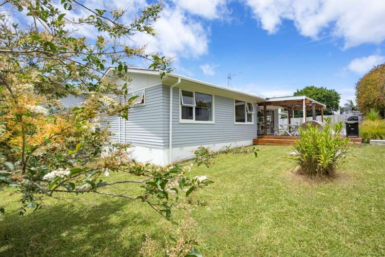 158 Astley Avenue New Lynn_14