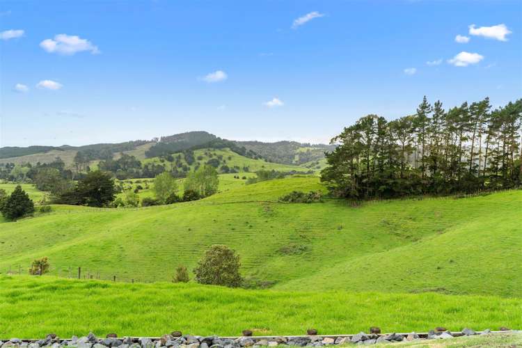 1695 Kaipara Hills Road Kaipara Flats_24
