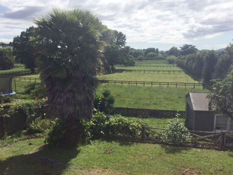 280 Racecourse Road Te Awamutu_10