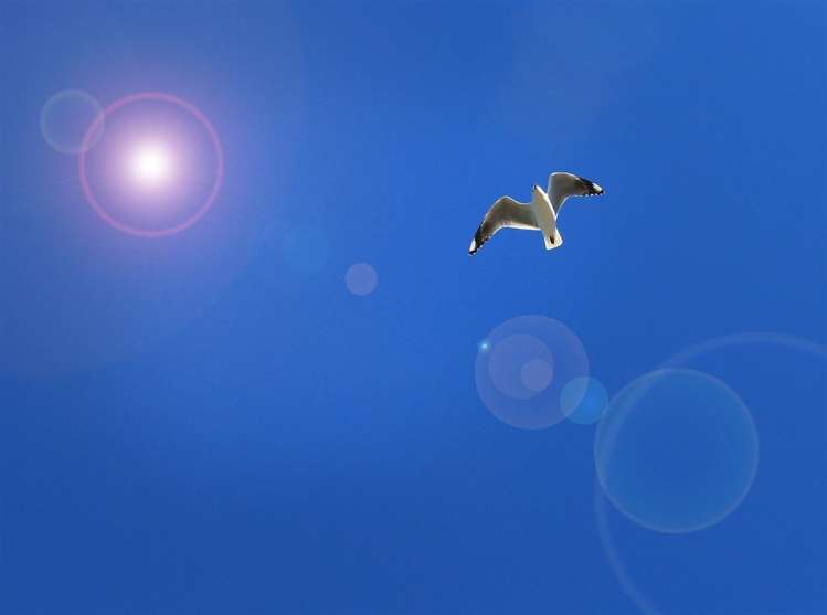 S503/326 Evans Bay Parade Hataitai_34