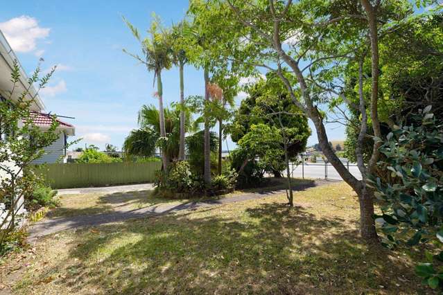 537 Richardson Road Mount Roskill_2