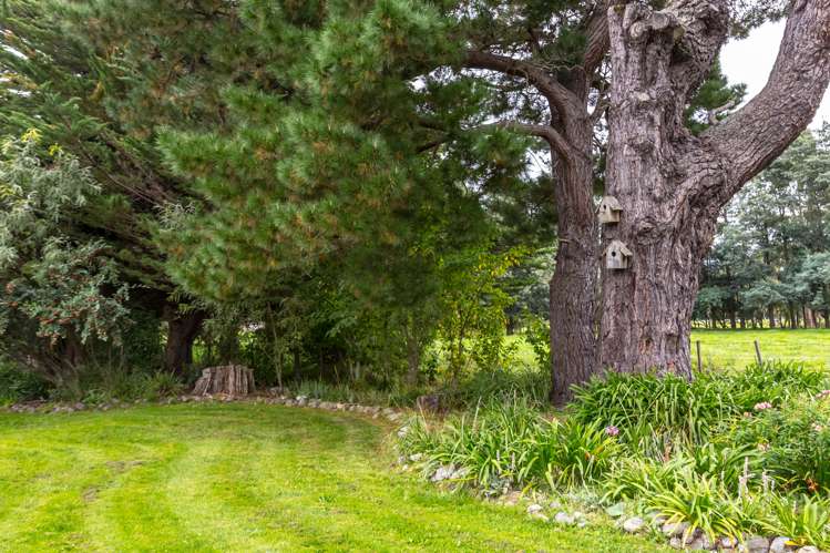 280a State Highway 53 Featherston_22