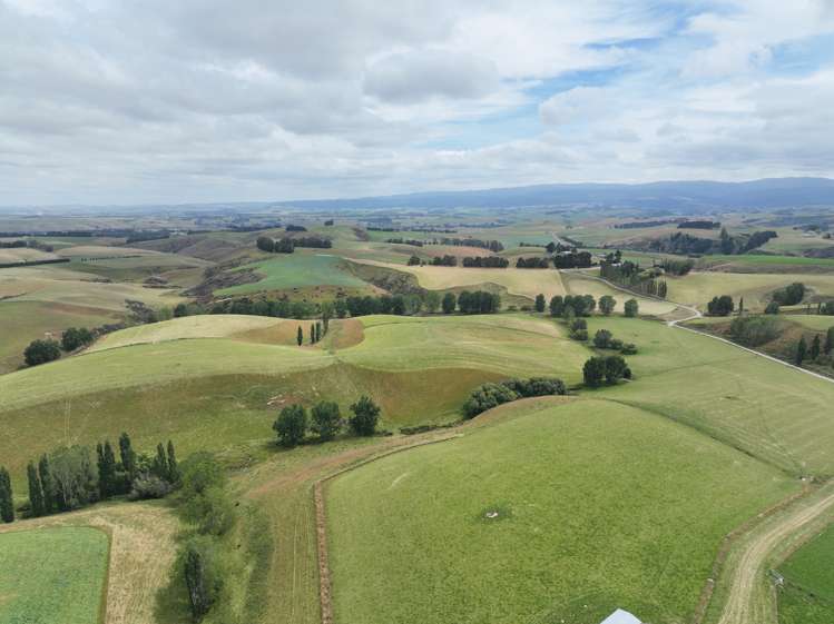 446 Skinner Road Clinton and Surrounds_19