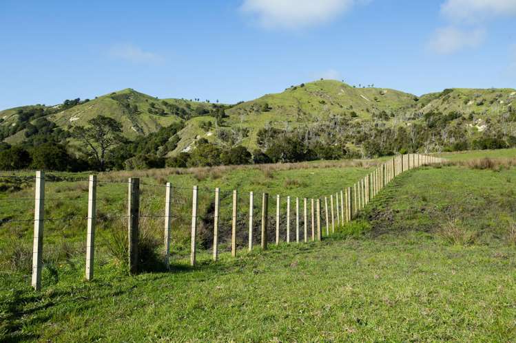 Waihua Valley Wairoa_7