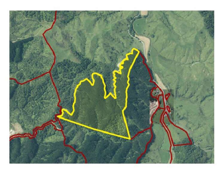 Junction Road Pohokura and Surrounds_29