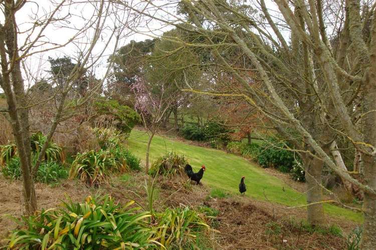 31 Craigie Road Pareora_20