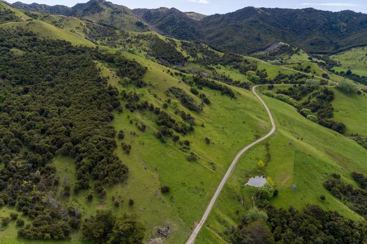 1505 Peggioh Road Ward_19