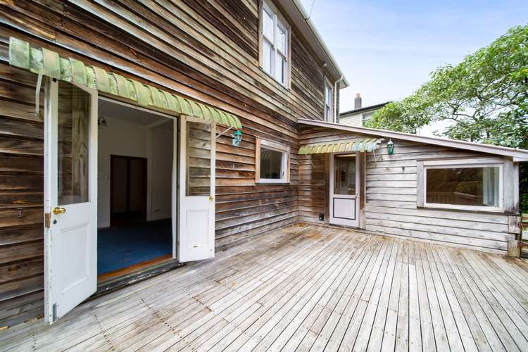 44 Carrington Street Lower Vogeltown_9