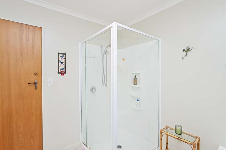 229a Chelmsford Street Waverley_11