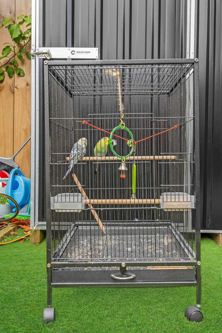 7/57 Taikata Road Te Atatu Peninsula_21