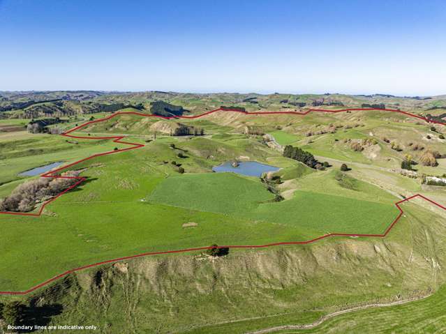 127 Bush Road Wallingford_2