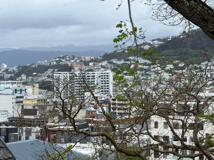 4/368 The Terrace Te Aro_27