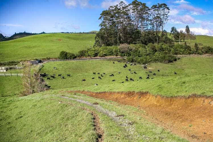 2511 Kopu Hikuai Sh25a Road Hikuai_10