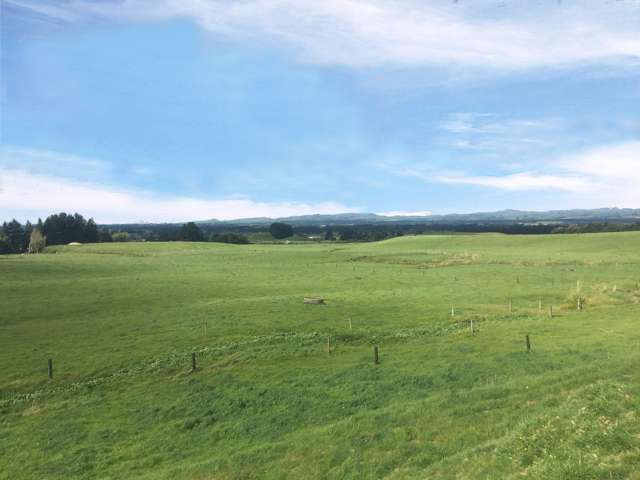 1550 Top Grass Road Rangitikei Surrounds_2