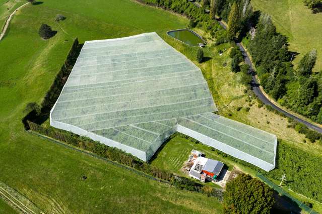 1151 Oreipunga Road Maungatautari_1