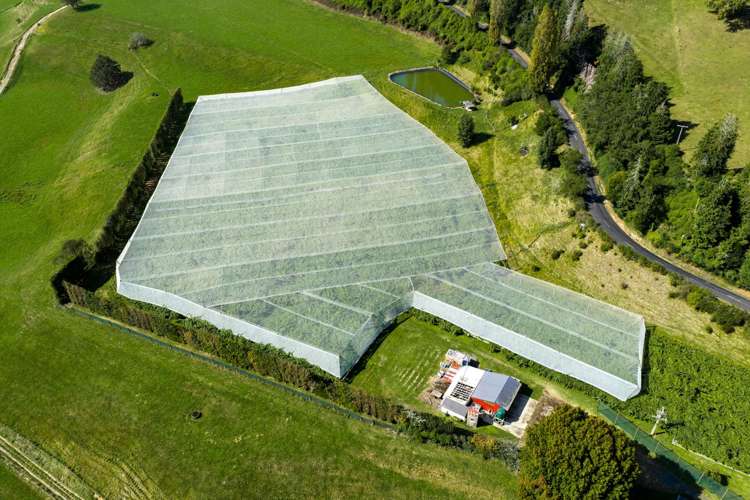 1151 Oreipunga Road Maungatautari_1