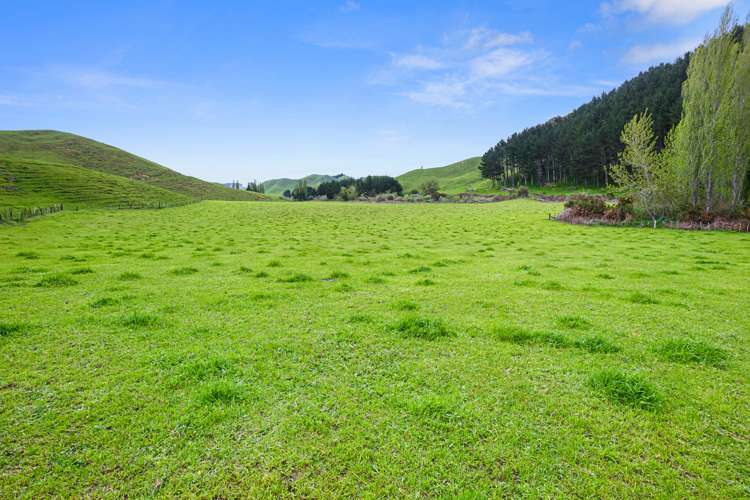166 Airstrip Road Pikowai_25