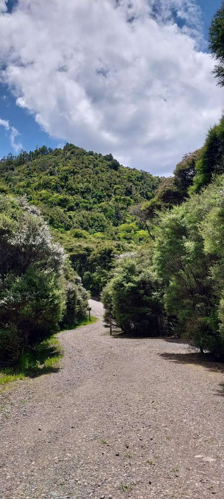 525A Tuateawa Road Tuateawa_13