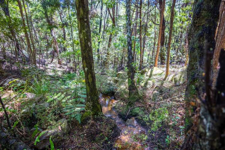 182 Nook Road Parua Bay_34