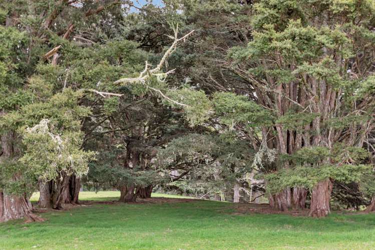 Lot 1, 106 Totara Park Lane Glenbervie_14