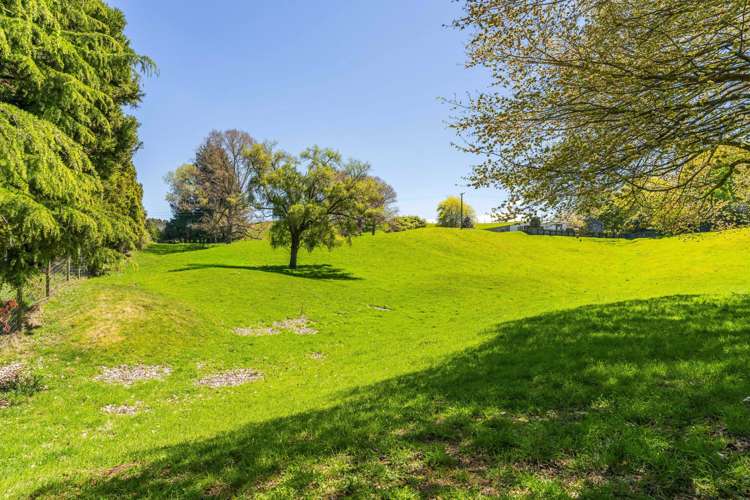 344 Palmer Mill Road Wairakei_34