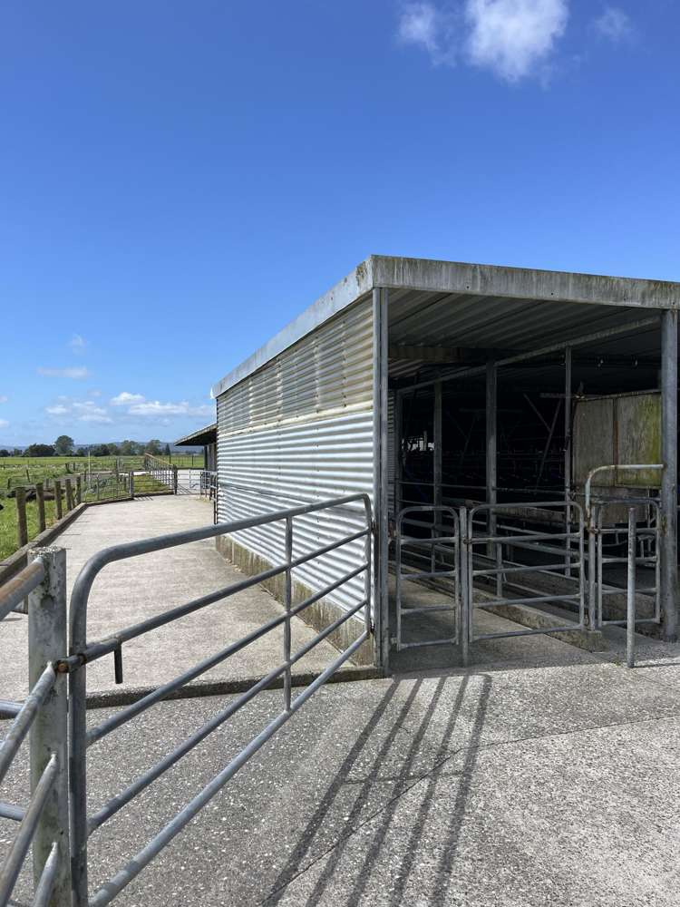 28 Stopbank Road Kowhitirangi_6