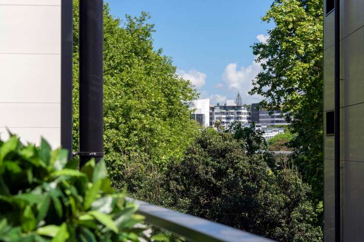 5/8 Dock Street Freemans Bay_6