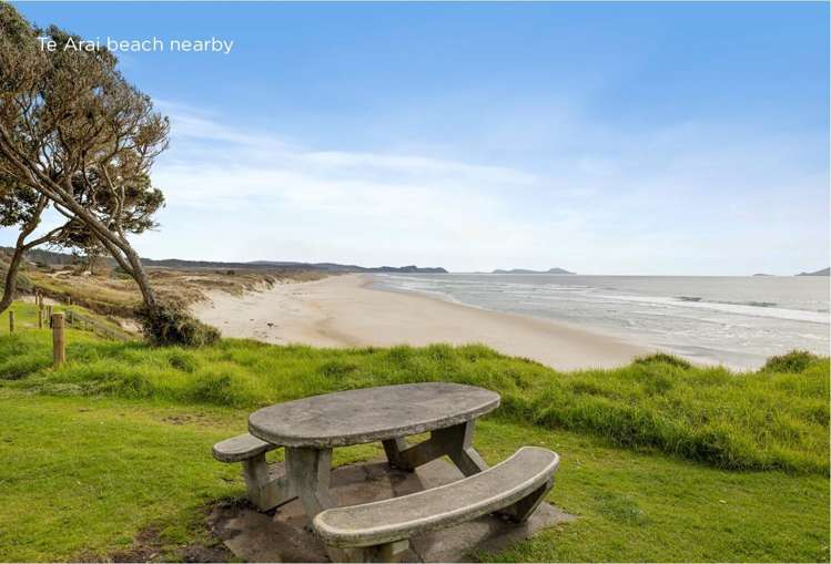 Mangawhai Bush Estate Mangawhai_18