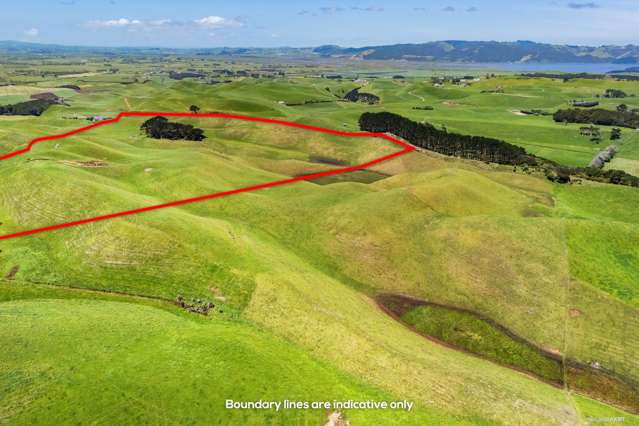473 Bothwell Park Road Otaua_4