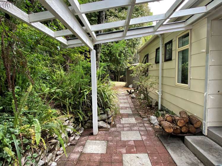 213 Packard Road Kahurangi National Park_13