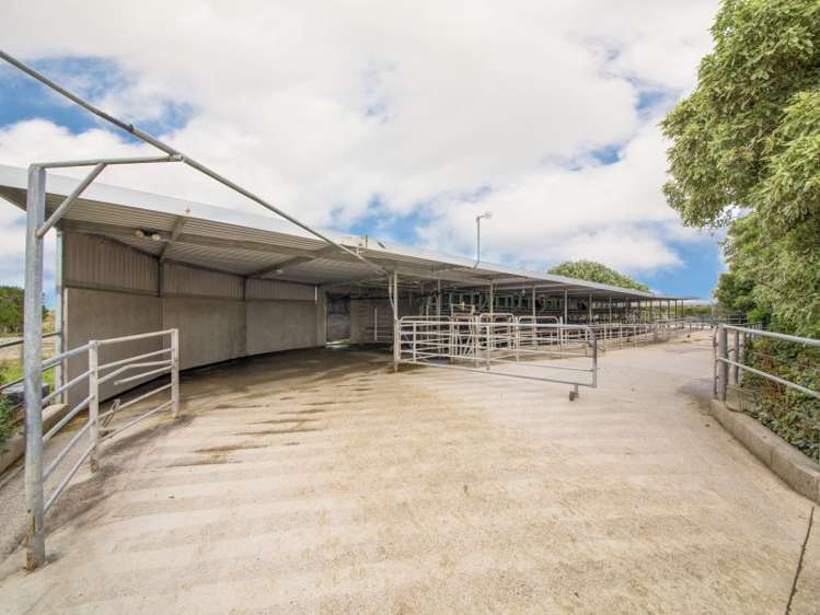 788 Tangimoana Road Ohakea_5