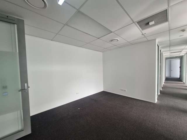 15 Murphy Street Thorndon_1