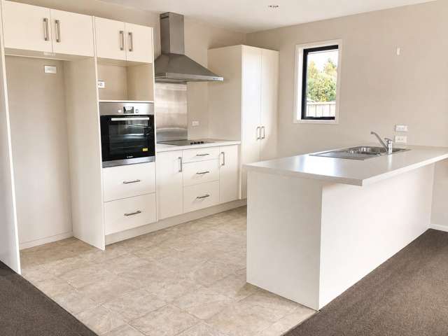 B/142 Howick Road Blenheim Central_1