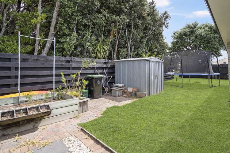 24b Hibiscus Avenue Mount Maunganui_16