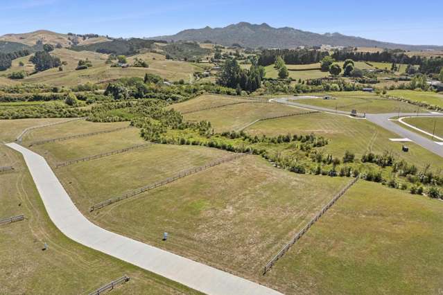 Baffin Street Pirongia_4