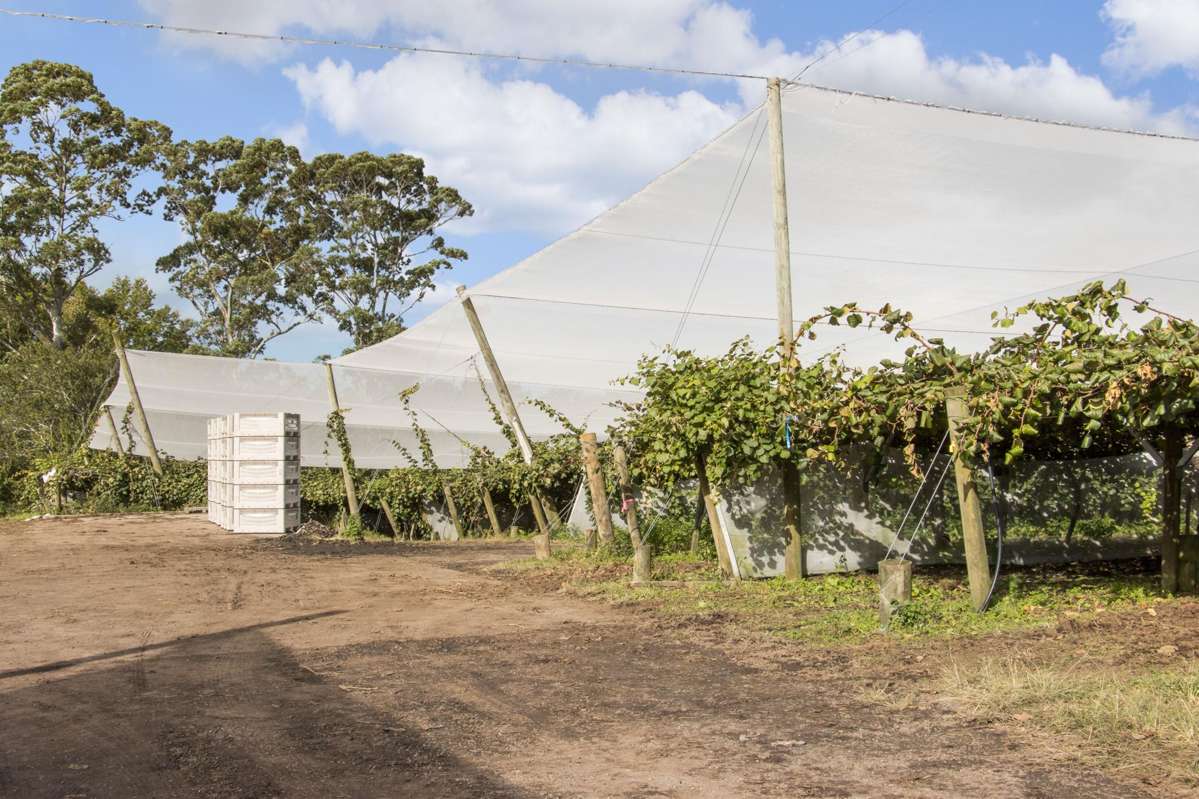 416 State Highway 2_5