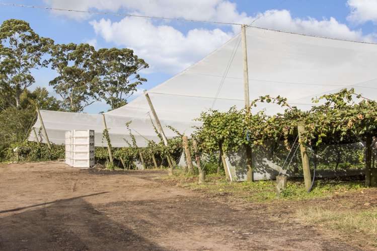 416 State Highway 2 Katikati_9