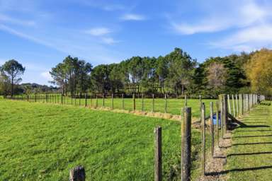 828 Ridge Road_3