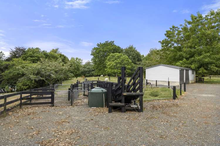 47 Raynes Road Rukuhia_36