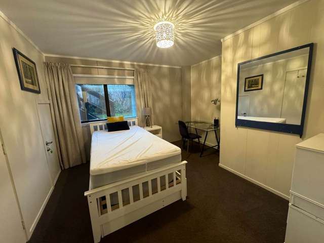 7A Moorea Place Mt Maunganui_4