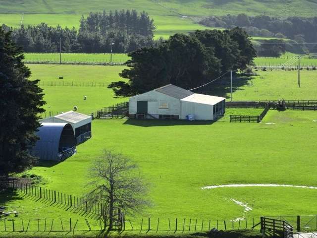 875 Waitahora Road Dannevirke_2